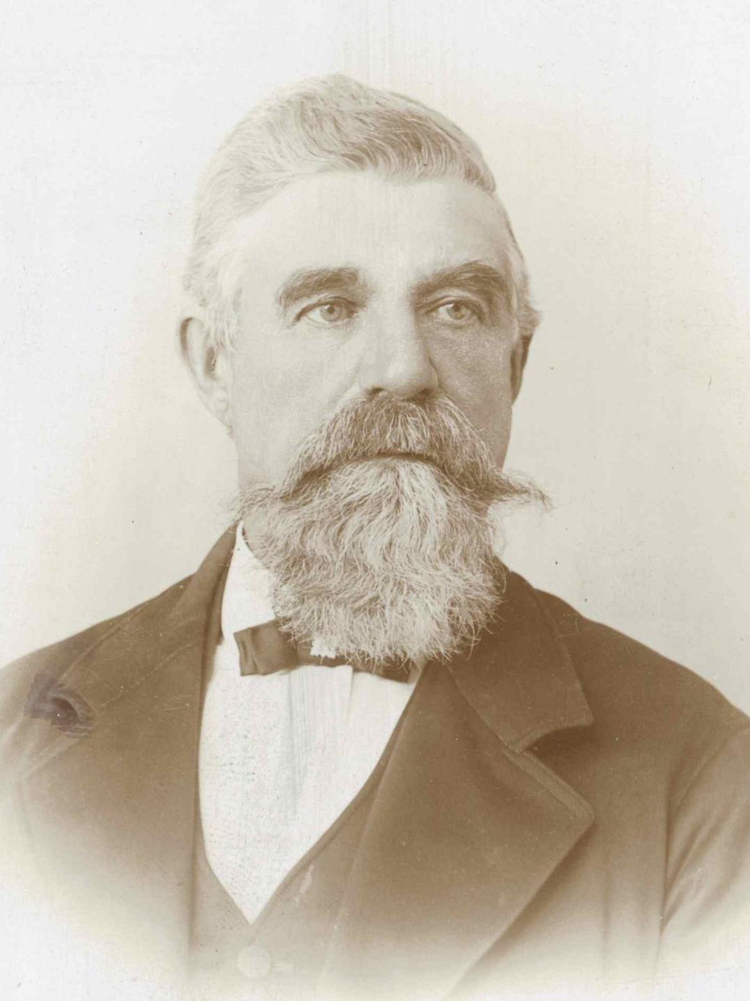 Henry Allen Beal (1835 - 1911) Profile